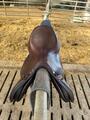 Selle Antares Connexion