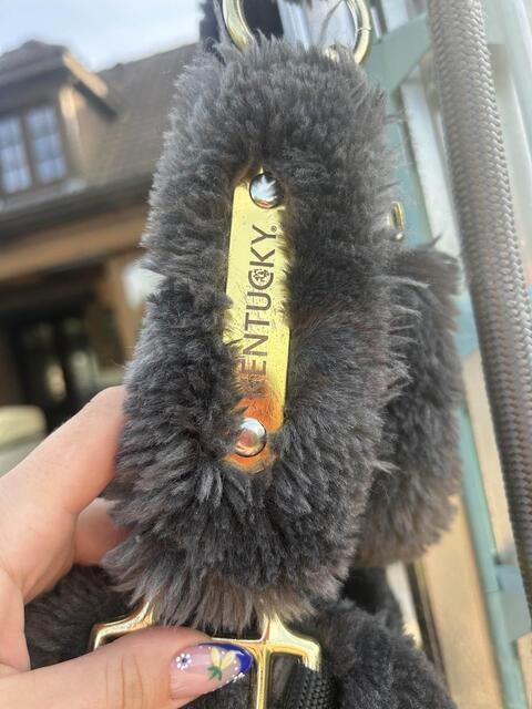 Licol Kentucky cob gris