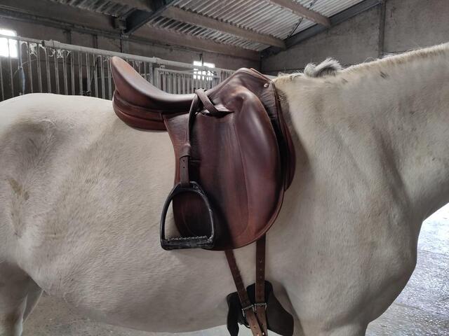 Selle Childéric DPL 18'
