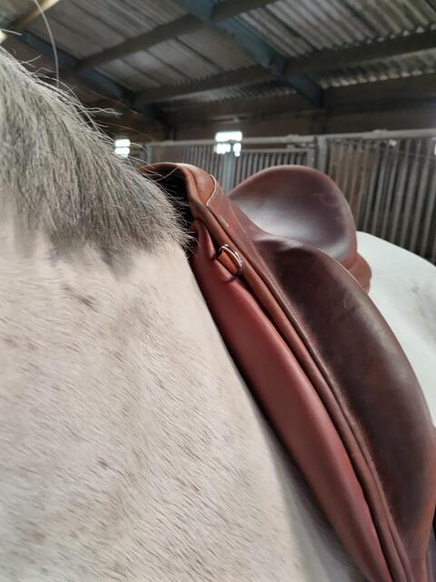 Selle Childéric DPL 18'