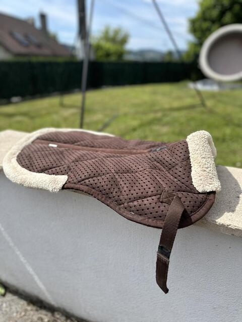Amortisseur Equitheme pro air marron