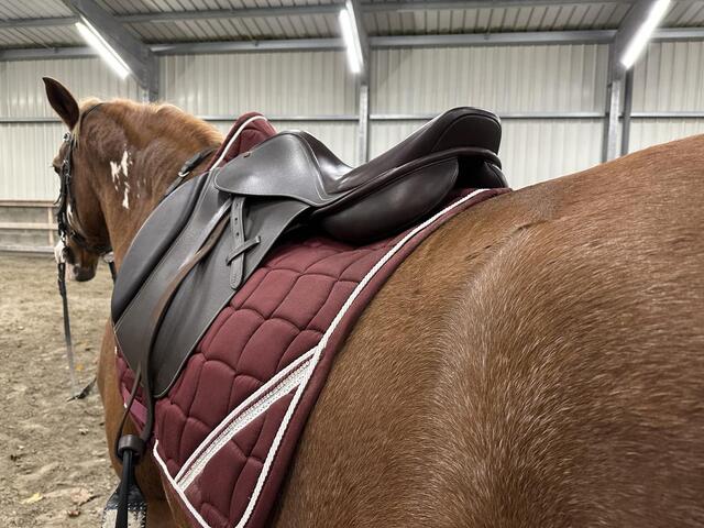 Selle Mixte Eric Thomas Fitter