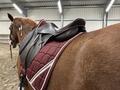 Selle Mixte Eric Thomas Fitter