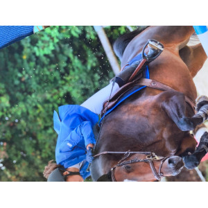 Veste animo bleu