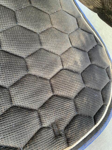 tapis