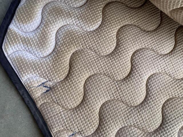 tapis