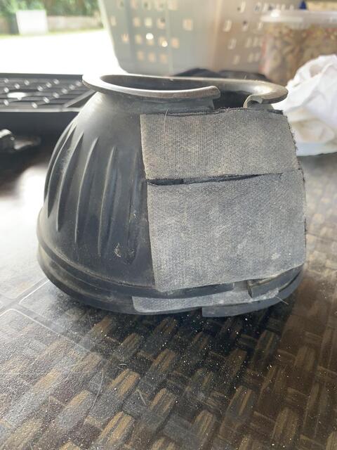 cloche
