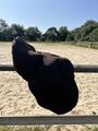 Selle mixtes