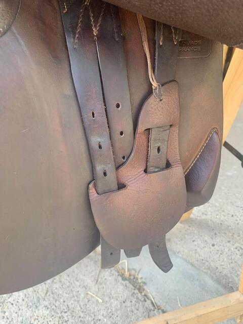 selle Antarès 17 pouces