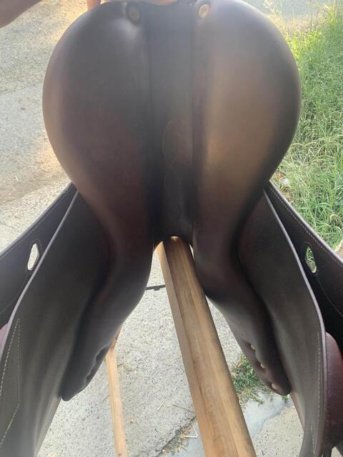 selle Antarès 17 pouces