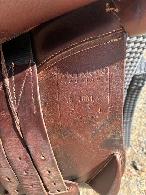Selle antares