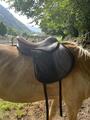 selle antares