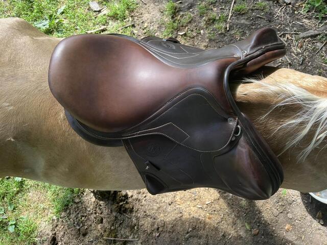 selle antares