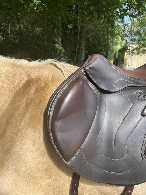 selle antares
