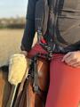 Airbag Horse Pilot