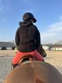 Airbag Horse Pilot