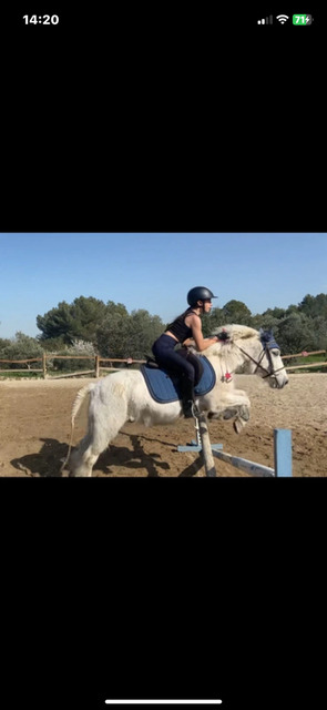 guetre cob/cheval