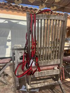 sidepull cheval