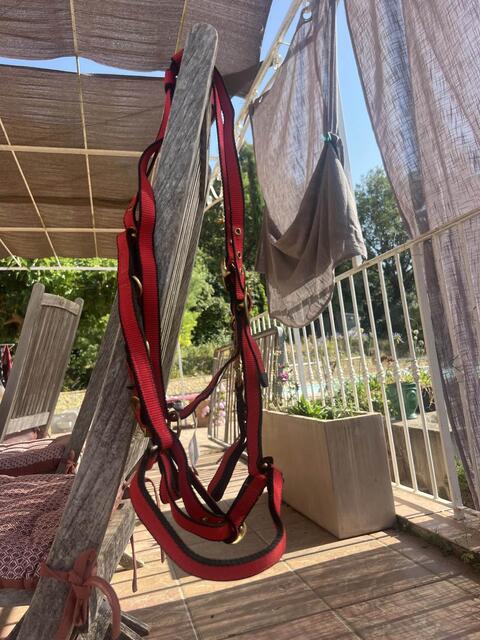 sidepull cheval