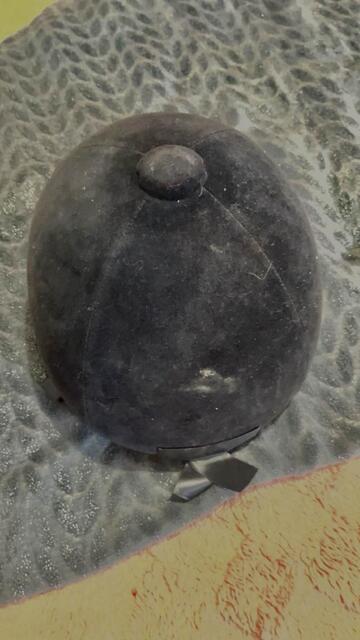 bombe noir velours noeu