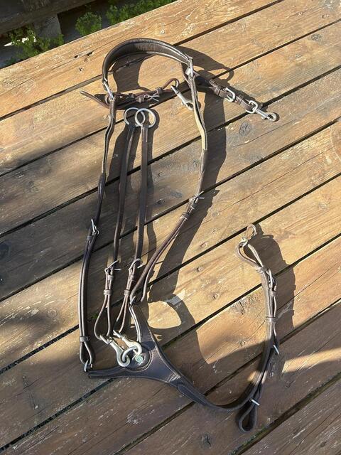Collier de chasse