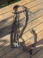 Collier de chasse