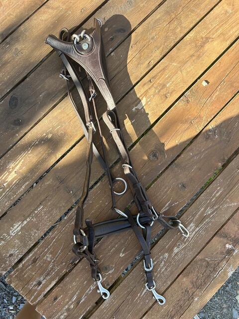 Collier de chasse