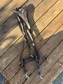 Collier de chasse