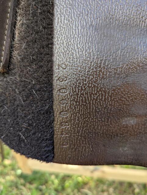 Selle GFS Monarch Jump