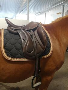 Selle monoquartier dressage Eric Mondange Havane 17,5 pouces