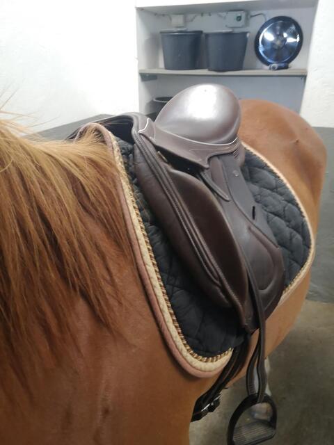 Selle monoquartier dressage Eric Mondange Havane 17,5 pouces