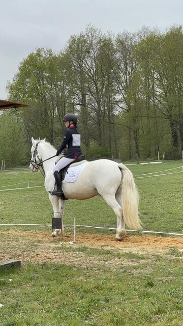 Selle dressage 17 pouces