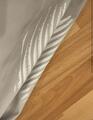 Pantalon gris Samshield
