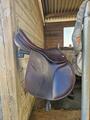 Selle Childéric FAP