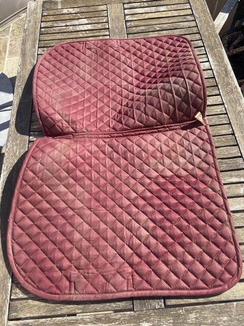 tapis