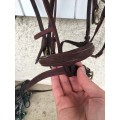 Filet marron taille cheval