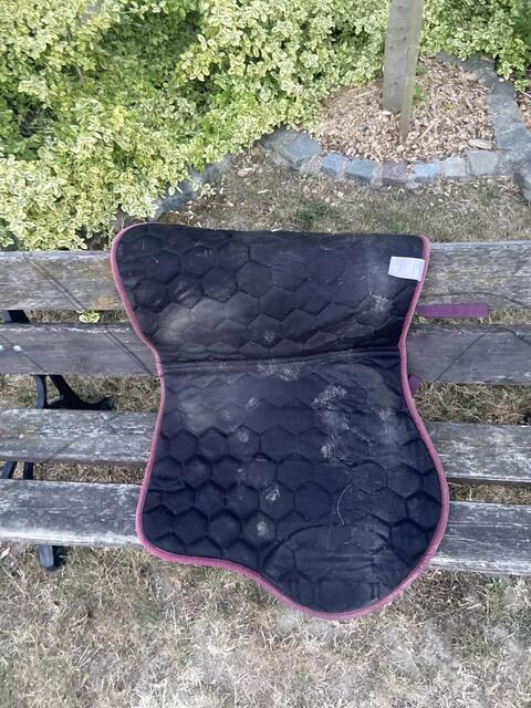 tapis