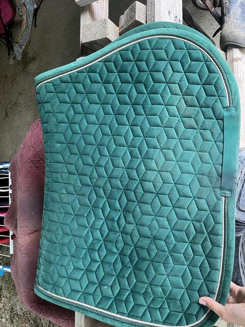 Tapis
