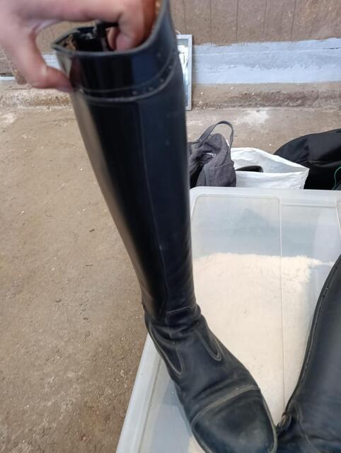 bottes fadbel