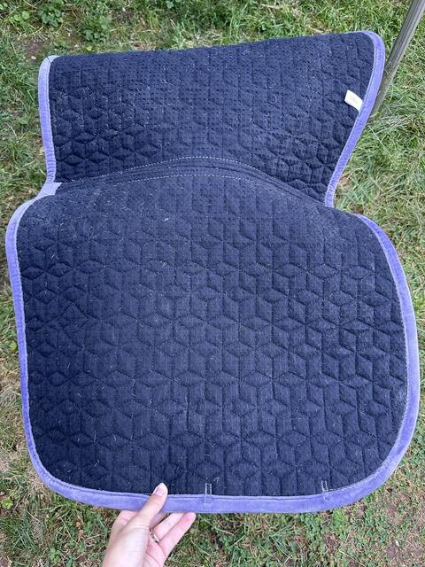 Tapis Kentucky Velvet Lilas ‼️VENDU‼️