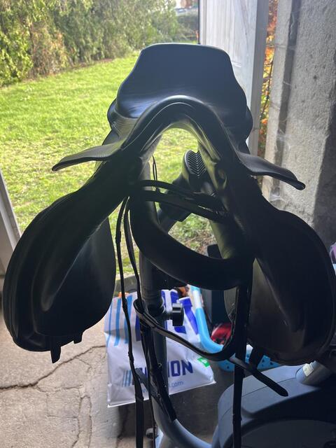 Selle mixte tendance obstacle