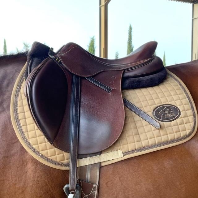 Selle Antares Connexion