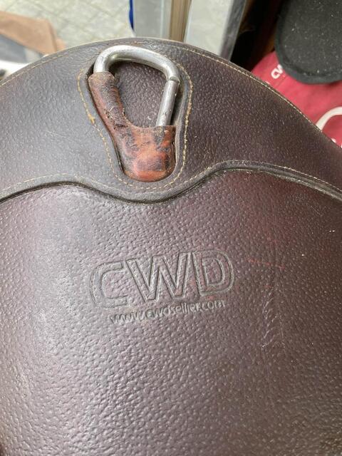 bavette cwd