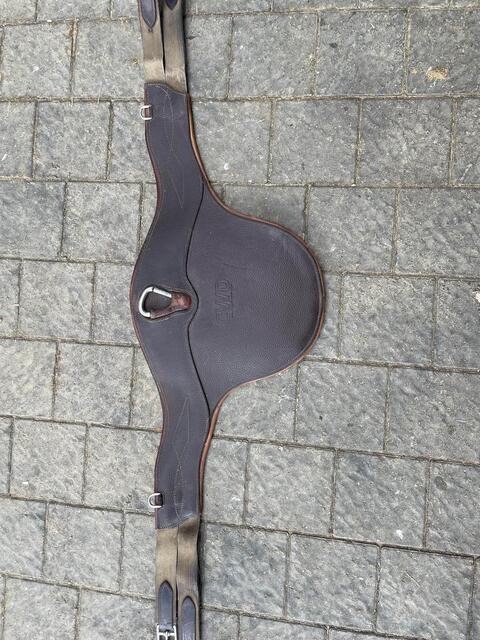 bavette cwd