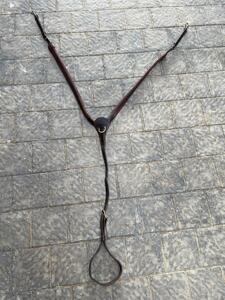 collier de chasse cwd