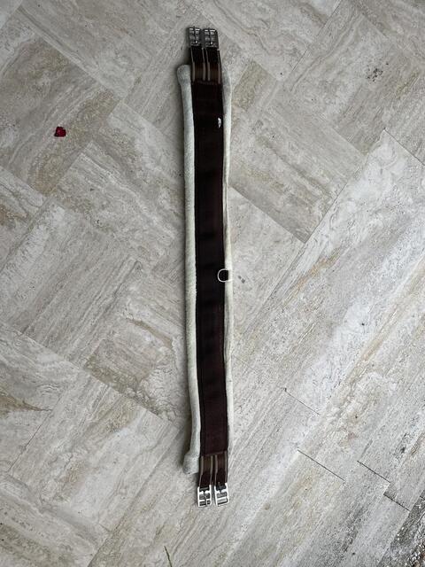 Sangle mouton