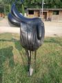 Selle dressage Forestier Aachen