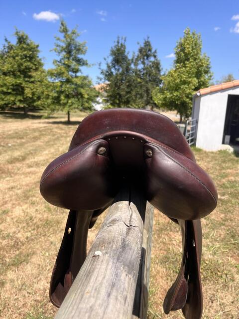 Selle Antares Contact