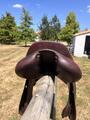Selle Antares Contact