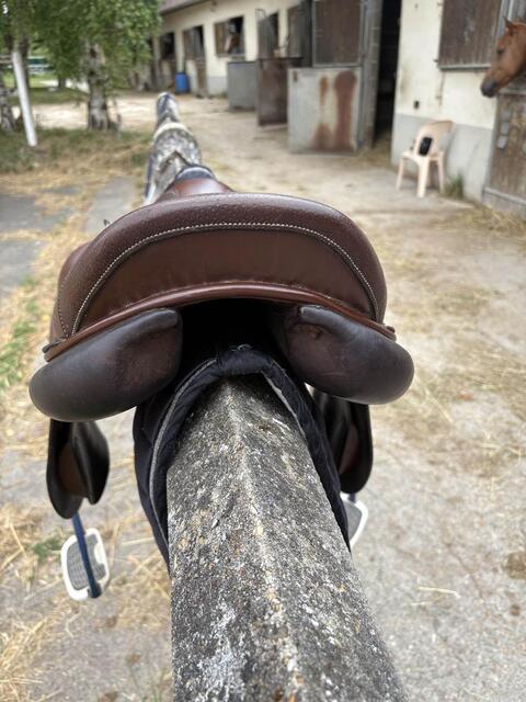 selle forestier à vendre